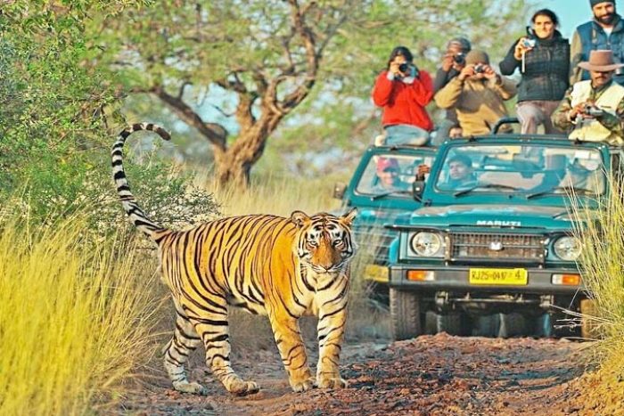 Ranthambore-National-Park